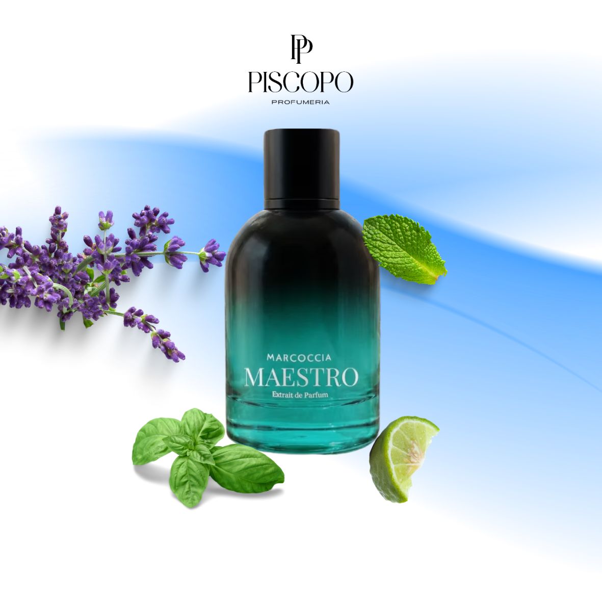 Marcoccia - Maestro - Extrait de parfum