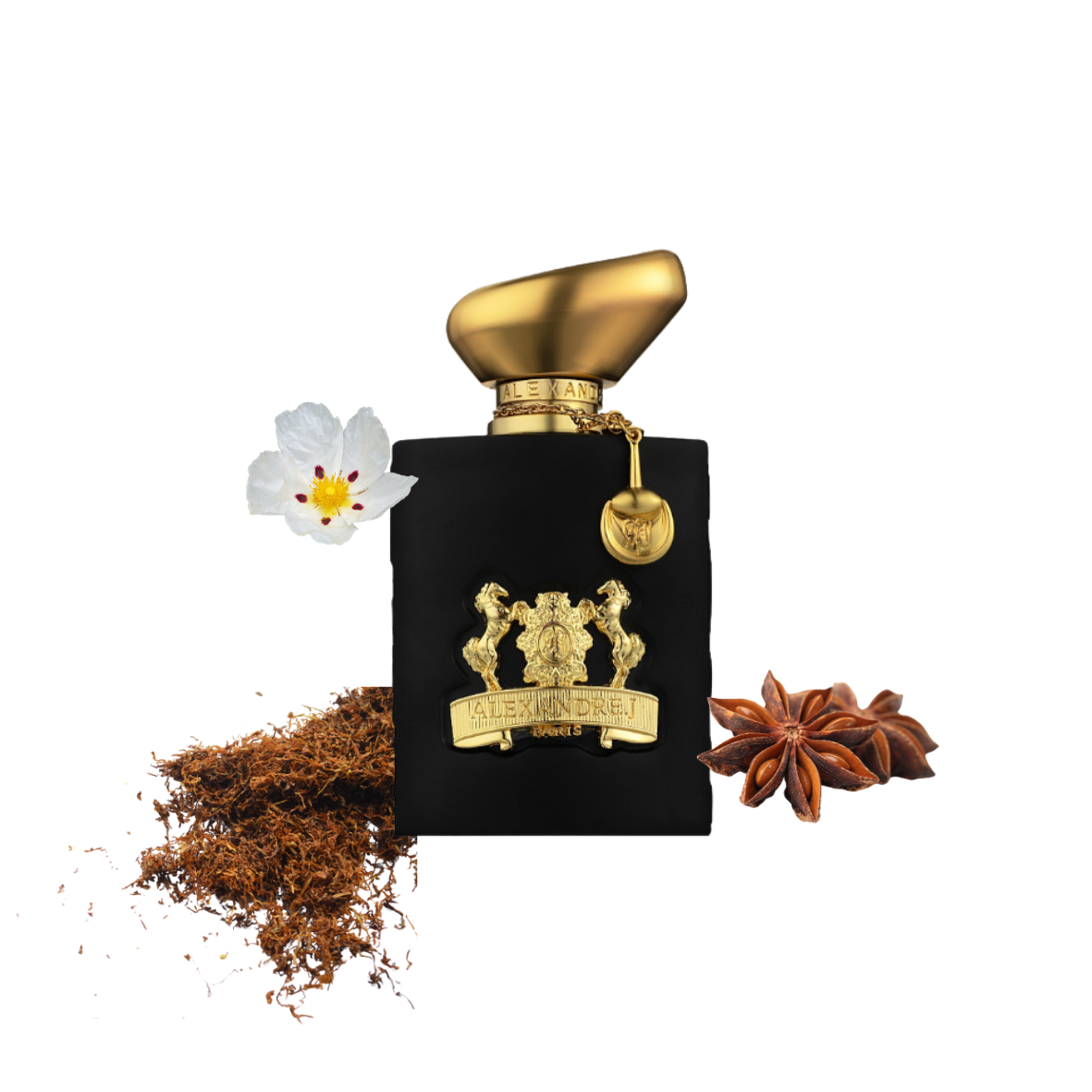 Alexandre J - Oscent Black - Eau de parfum