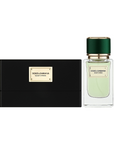 Dolce & Gabbana - Velvet Cypress - Eau de parfum