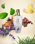 Maison Asrar - Shaheen white - Eau de parfume