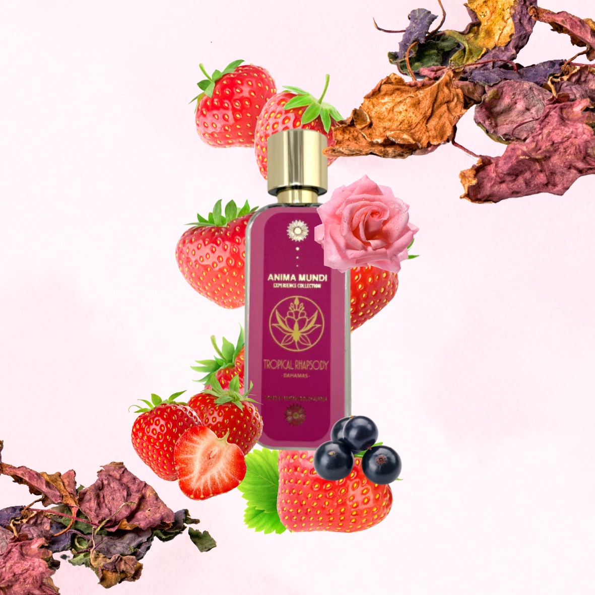 Anima Mundi - Tropical Rhapsody - Extrait de parfum