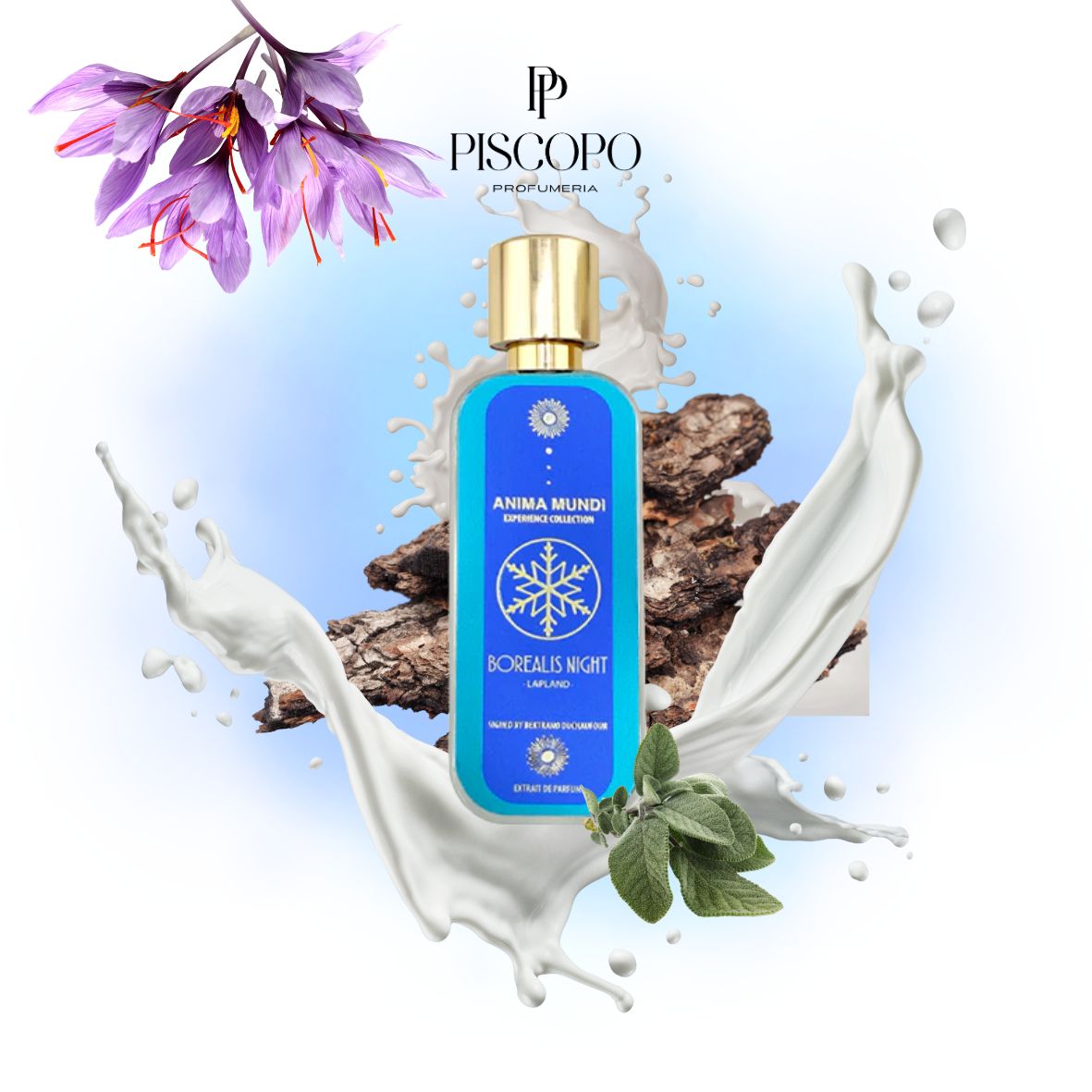 Anima Mundi - Borealis Night - Extrait de Parfum