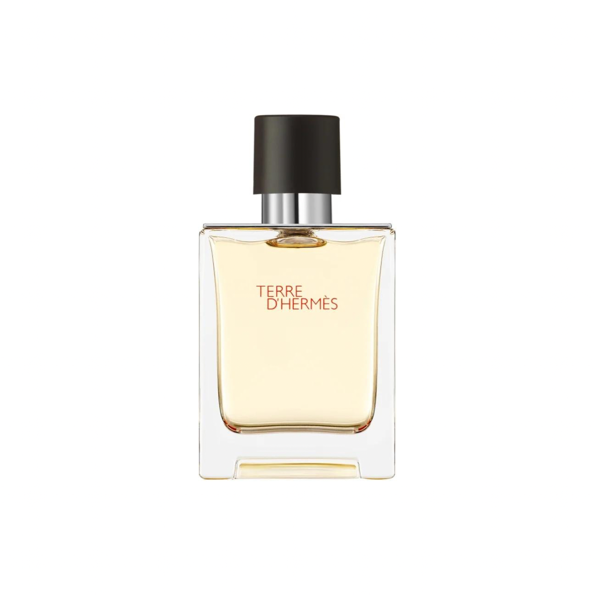 Terre d'Hermès - Eau de toilette