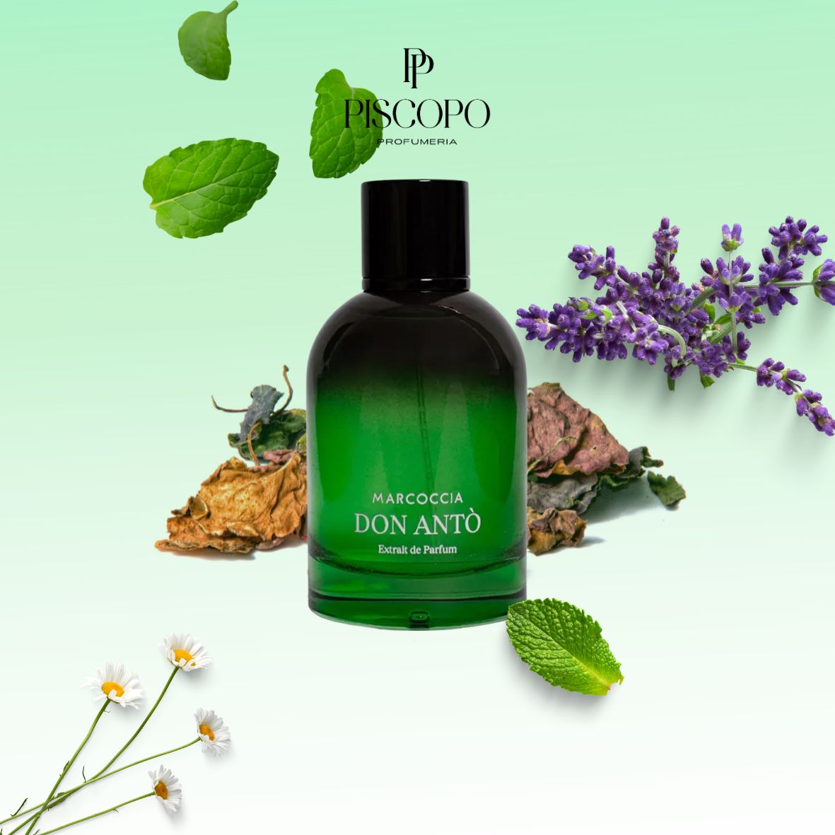 Marcoccia - Don Anto - Extrait de Parfum