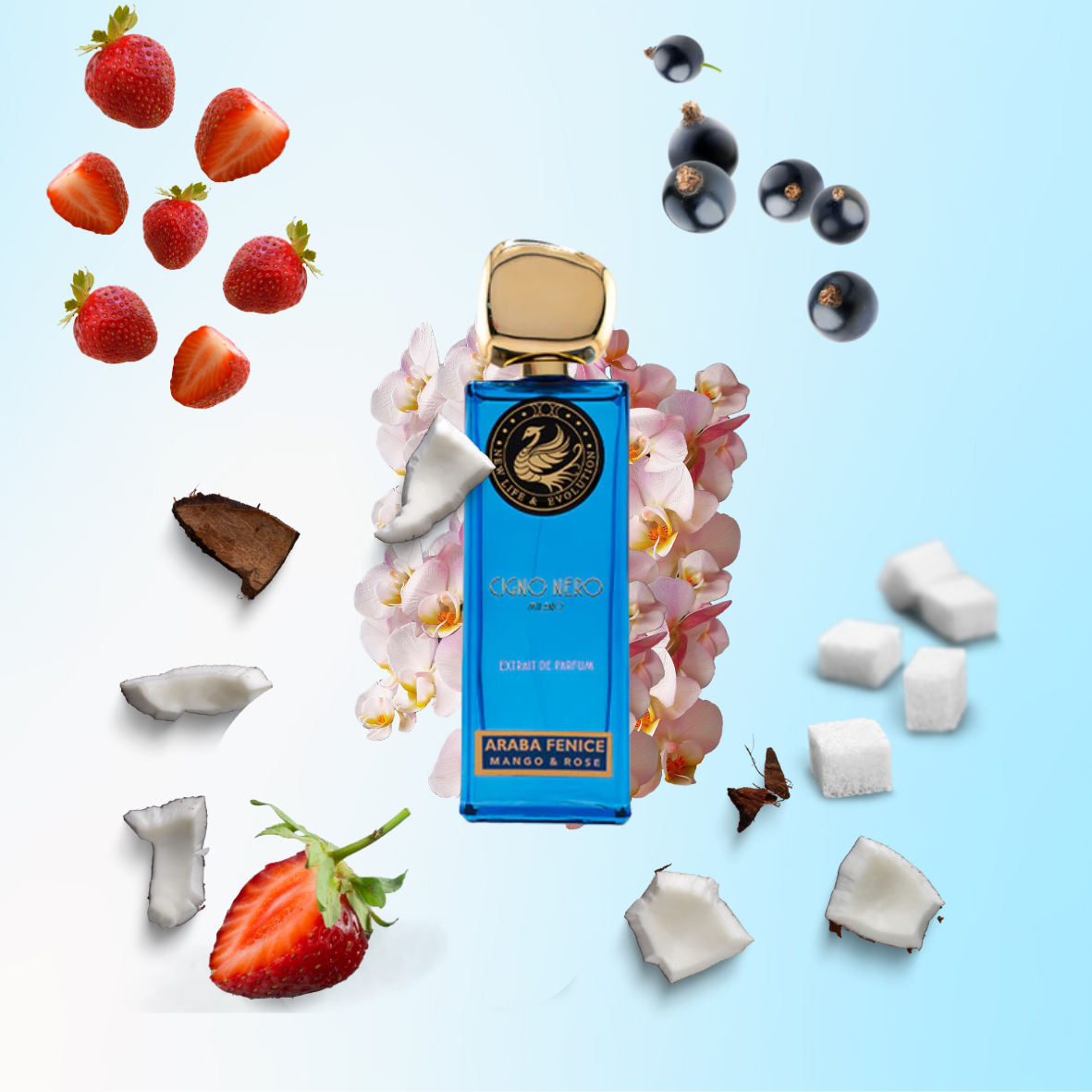 Cigno Nero - Araba Fenice - Extrait de parfum