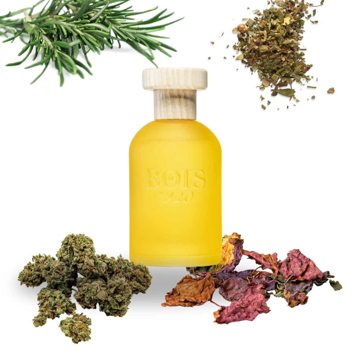 Bois 1920 - Cannabis La Fruttata - Eau de parfum