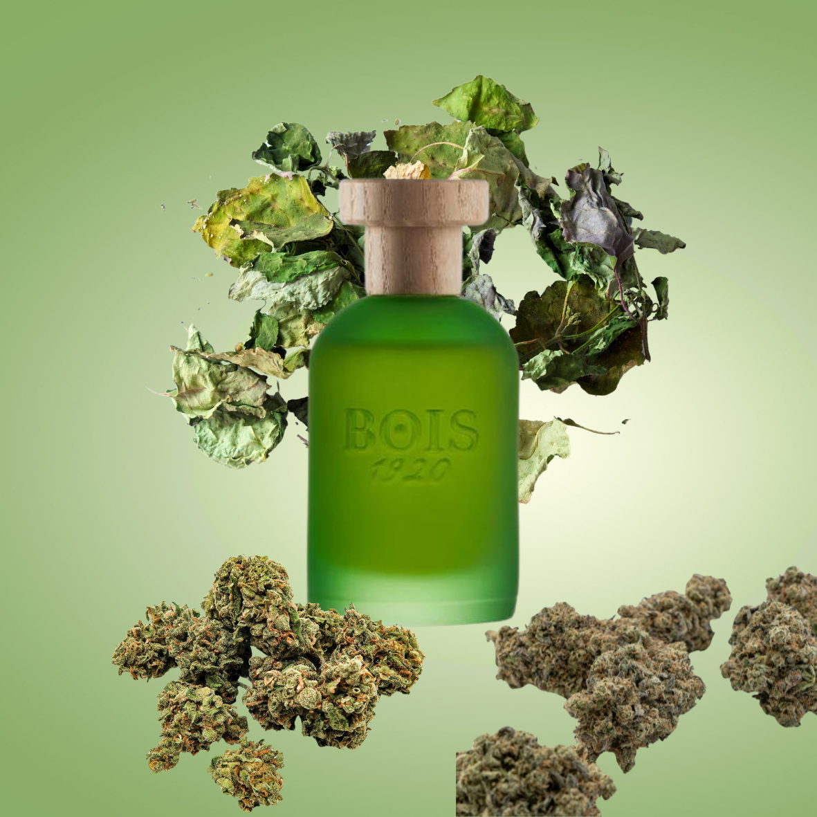 Bois 1920 - Cannabis - Eau de parfum