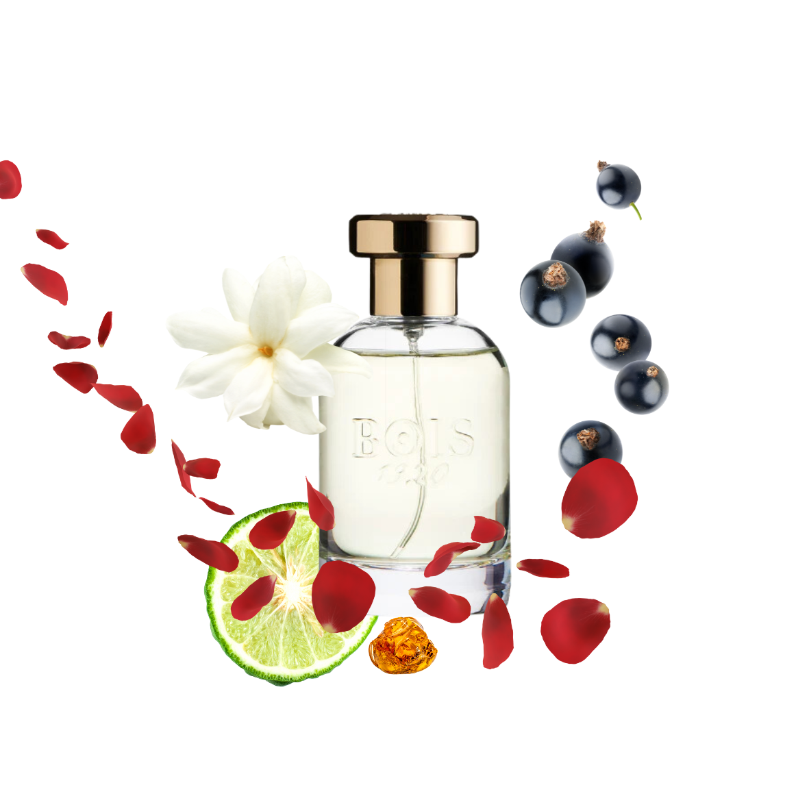 Bois 1920 - Paranà - Eau de parfum