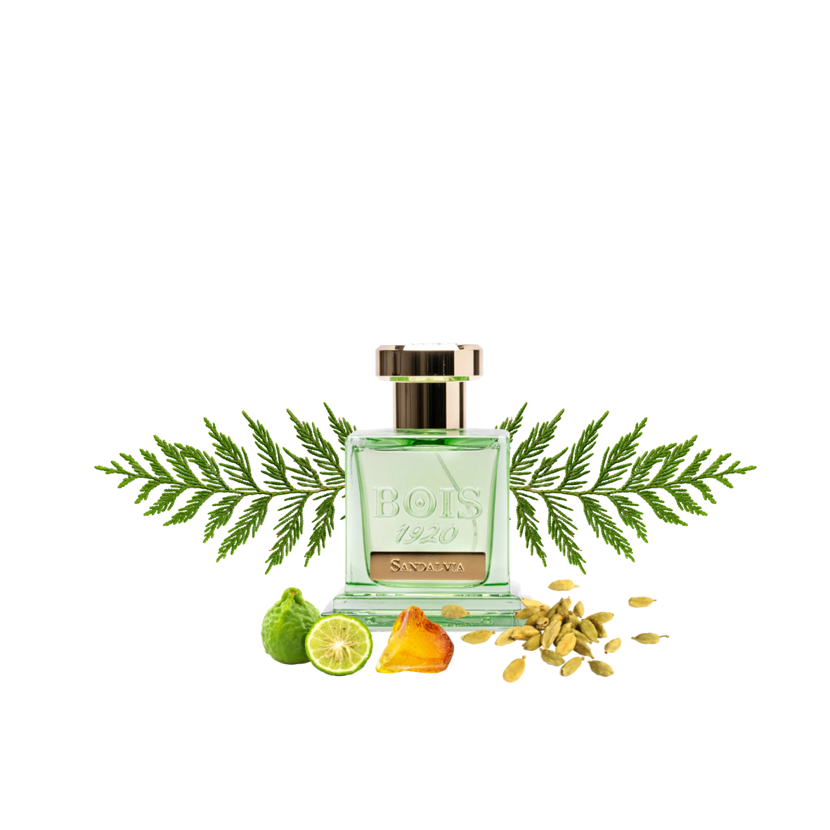 Bois 1920 - Sandalvia - Le parfum