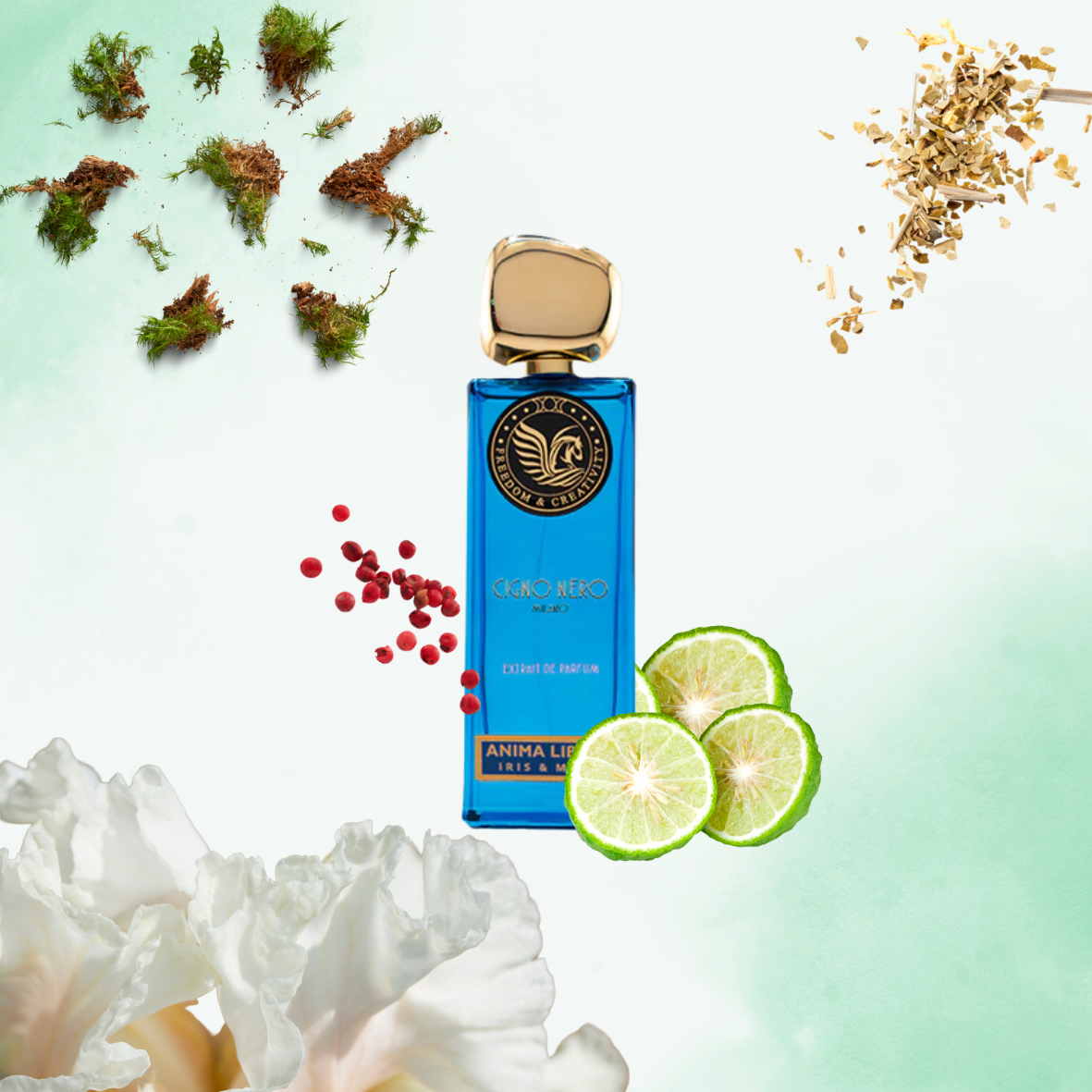 Cigno Nero - Anima Libera - Extrait de parfum