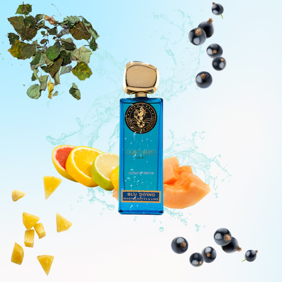 Cigno Nero - Blu Divino - Extrait de parfum