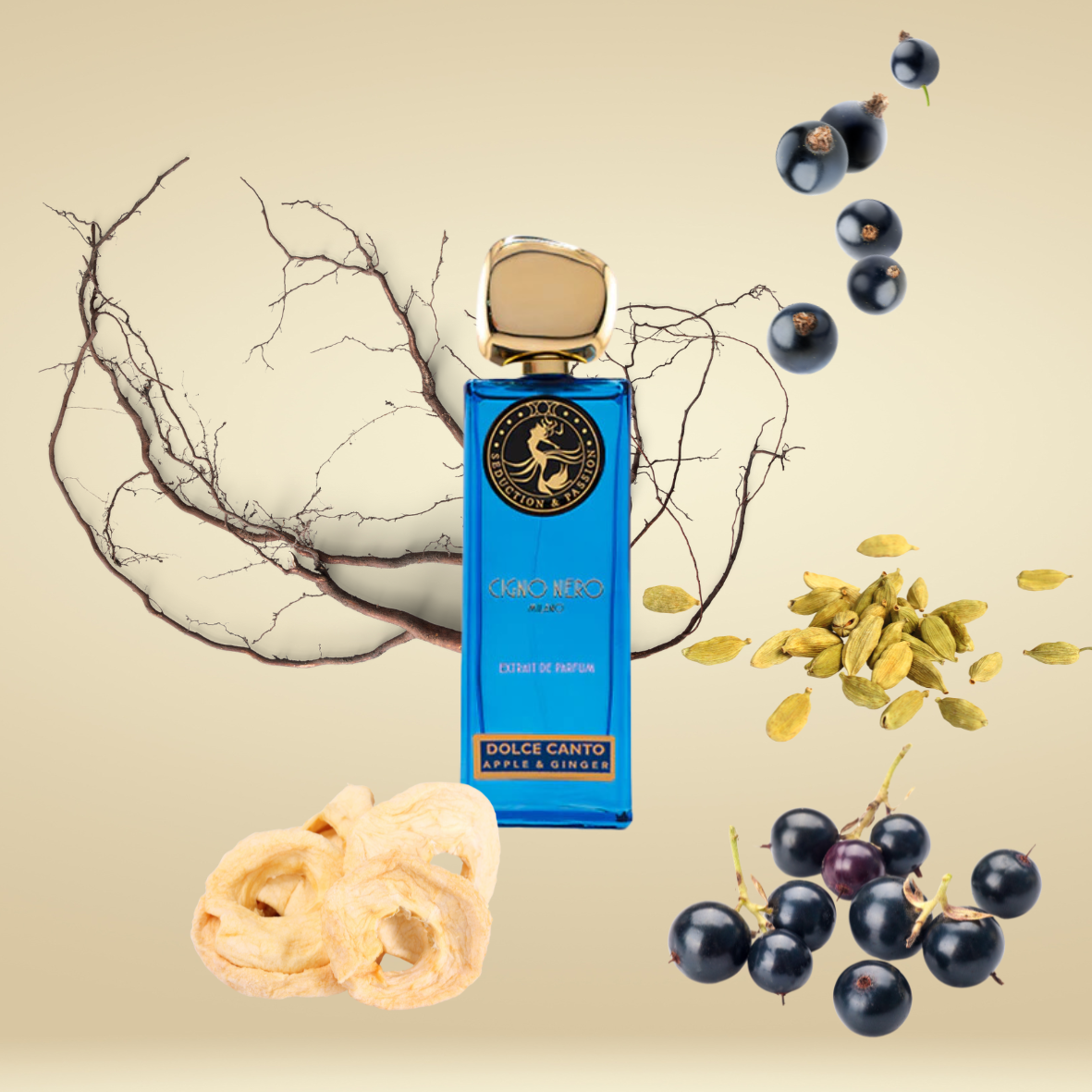 Cigno Nero - Dolce Canto - Extrait de parfum