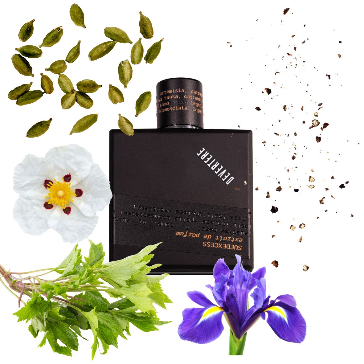 Devertere - Suedexcess - Extrait de parfum
