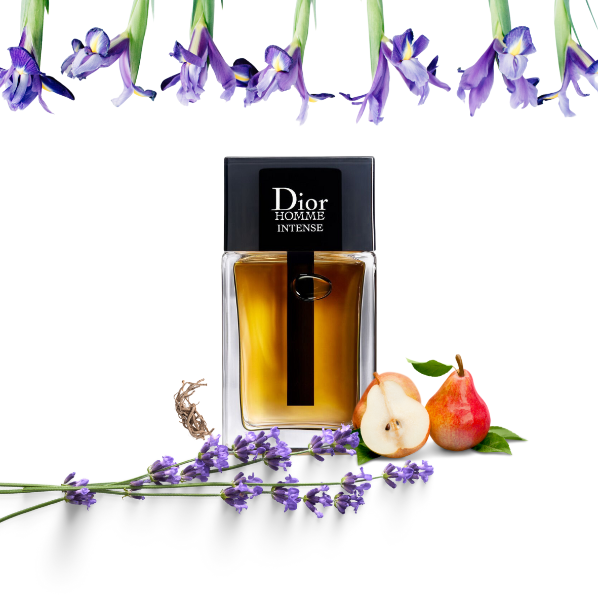 Dior - Homme Intense - Eau de parfum