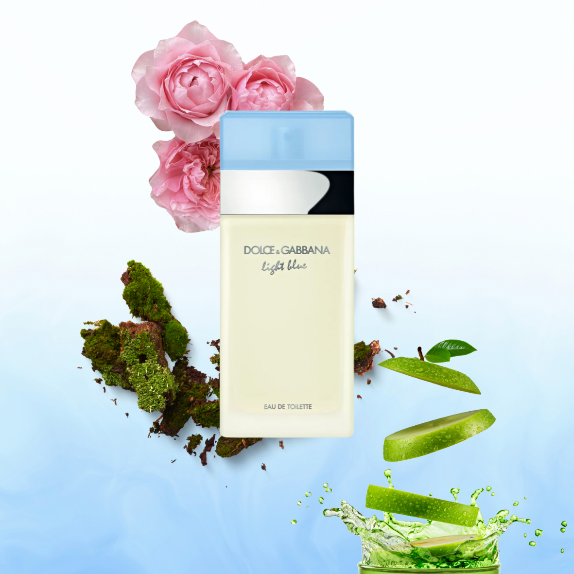 Dolce & Gabbana - Light blue - Eau de toilette