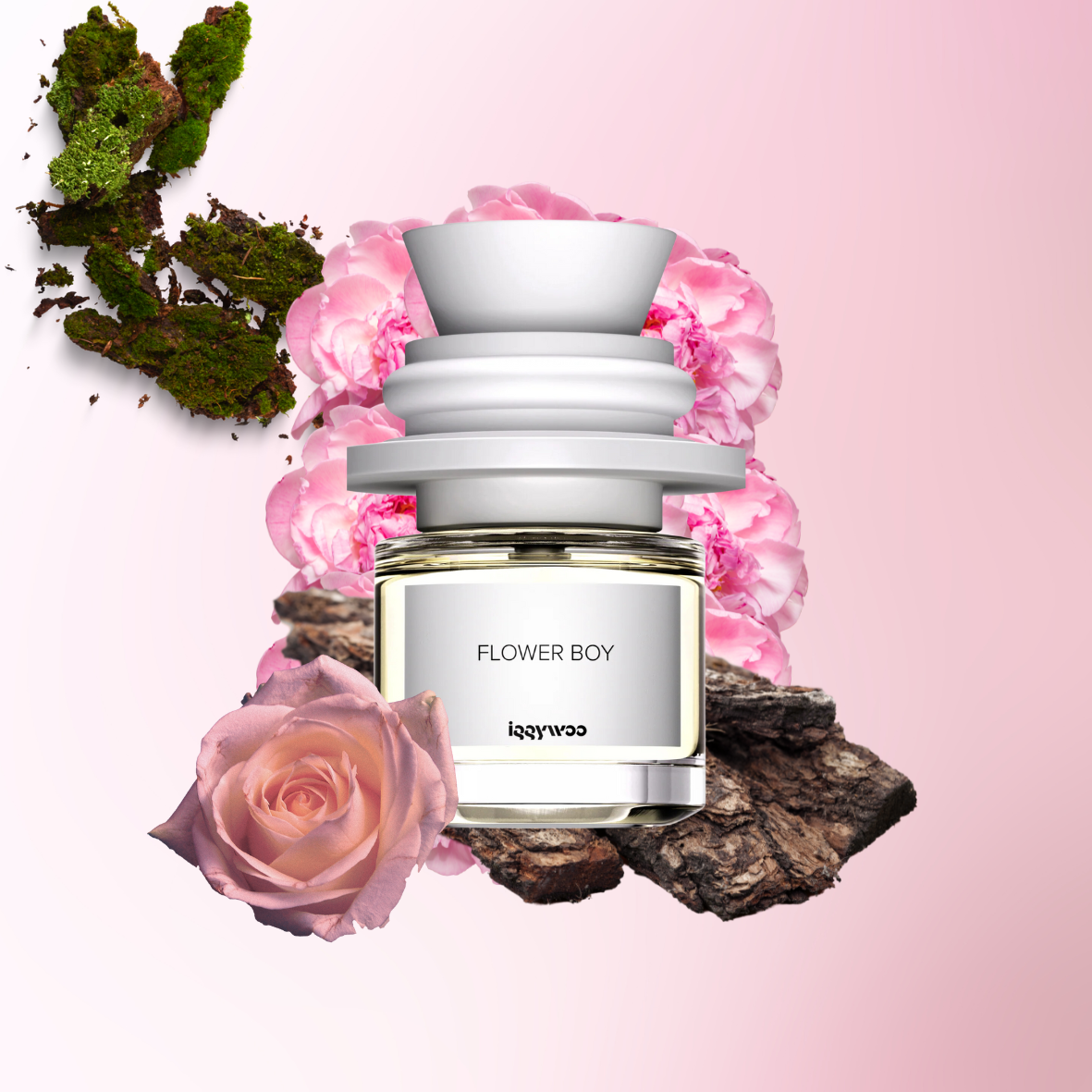 Iggywoo - Flower Boy - Eau de parfum