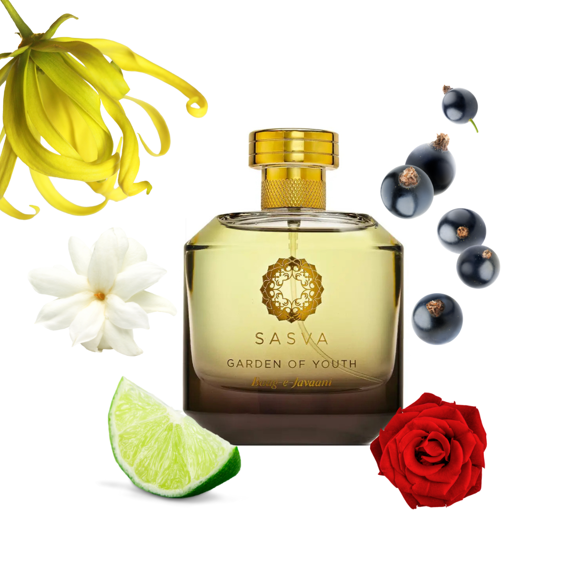 Sasva - Garden of Youth - Eau de parfum