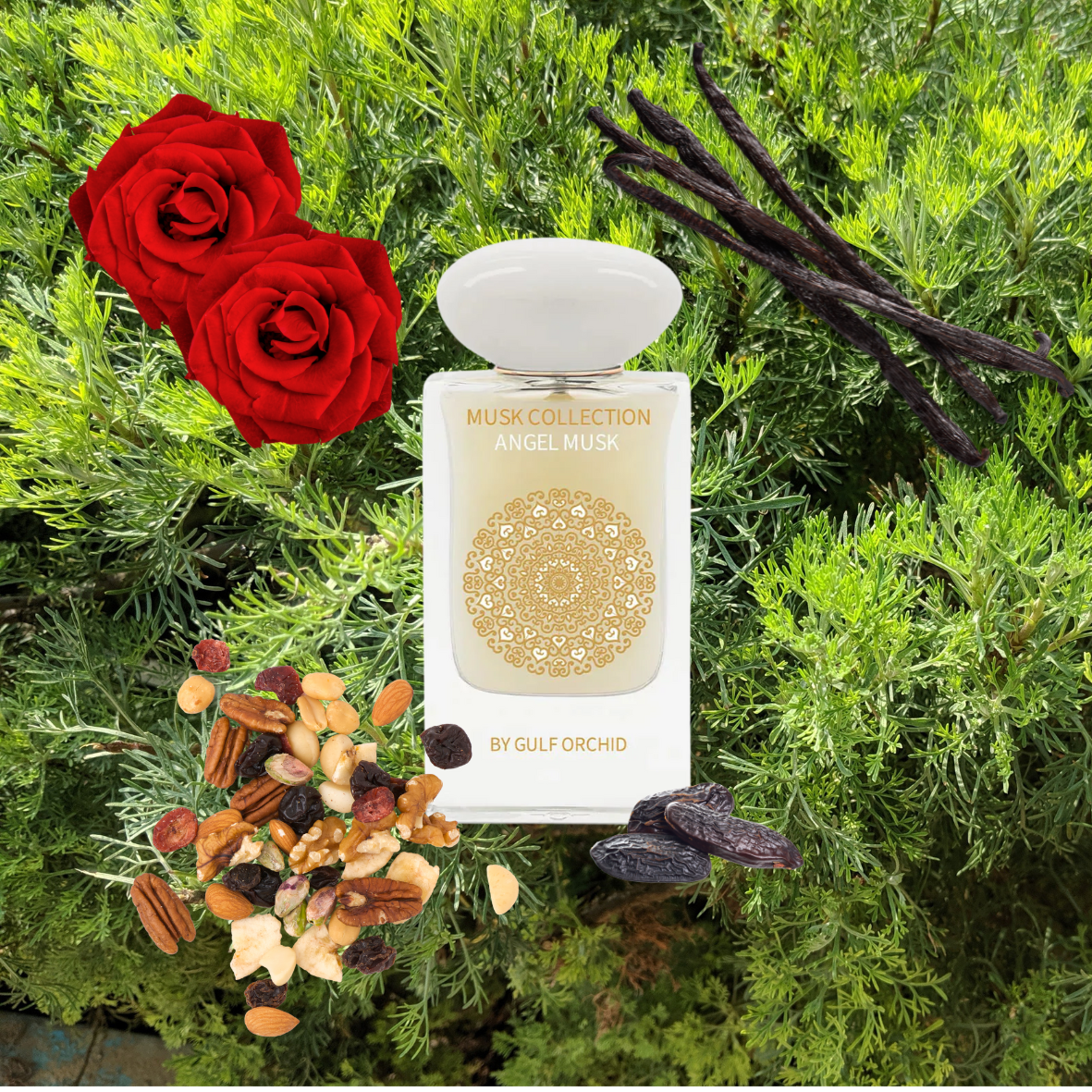 Gulf Orchid - Angel musk - Eau de parfum