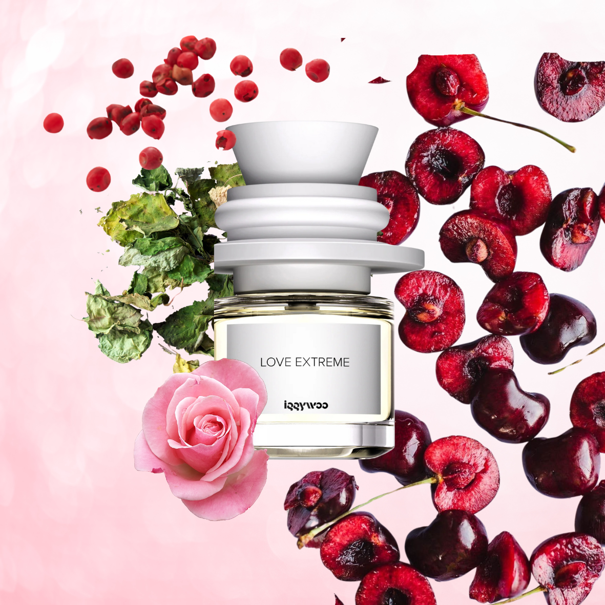 Iggywoo - Love Extreme - Eau de parfum