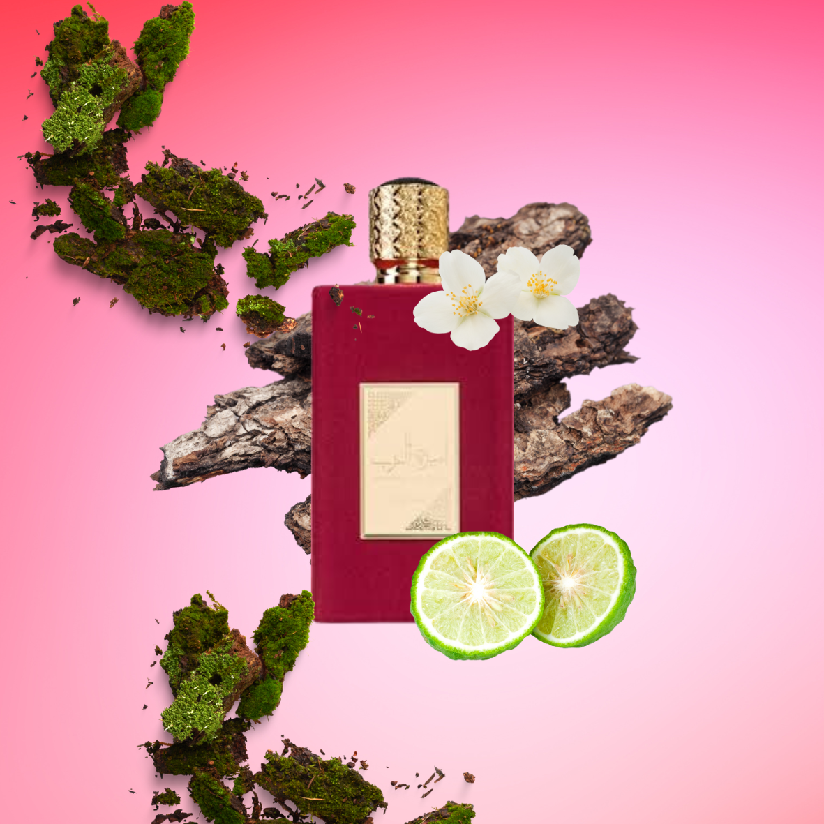 Lattafa - Ameerat Al Arab - Eau de parfum