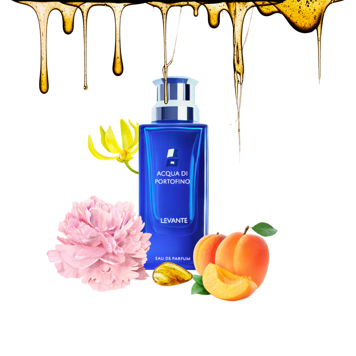 Acqua di Portofino - Levante - Eau de parfum