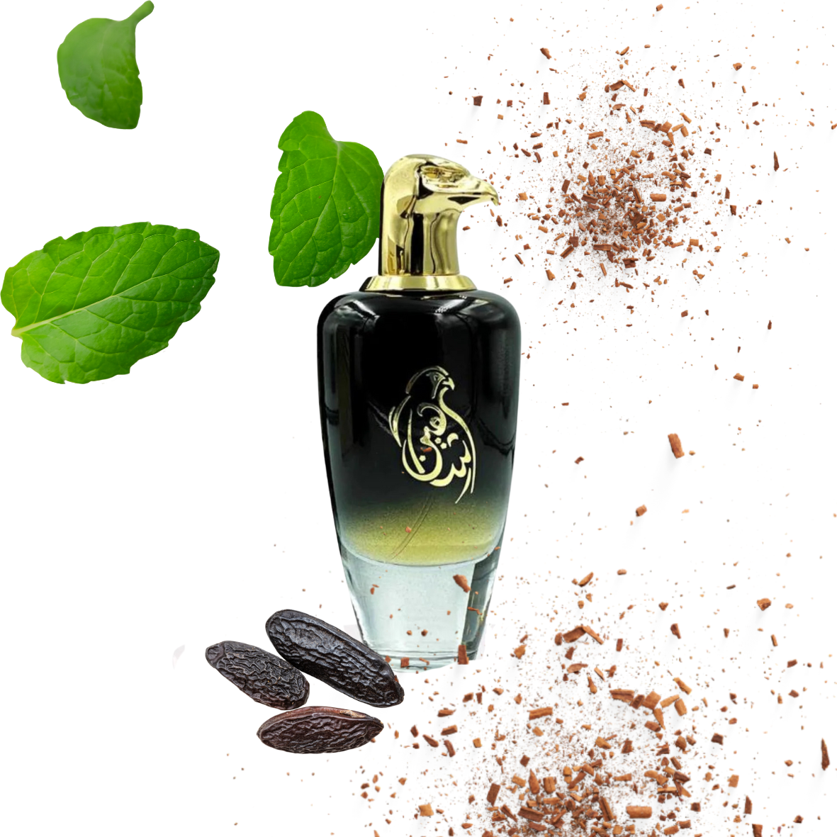 Maison Asrar - Shaheen Oud Black - Eau de parfum