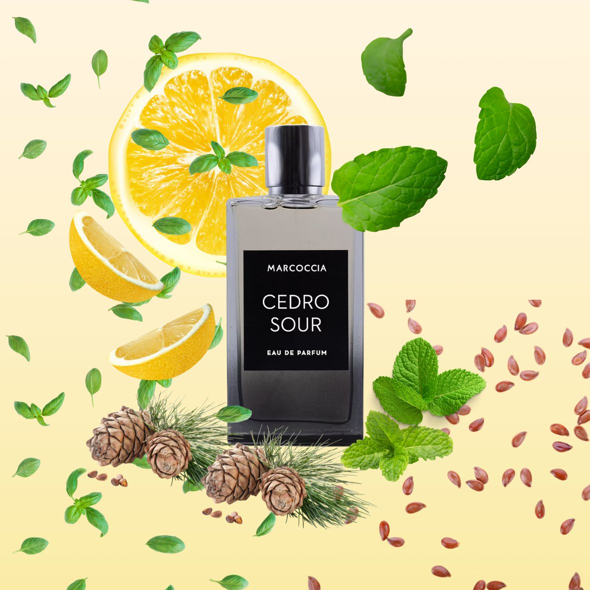 Marcoccia - Cedro sour - Eau de parfum