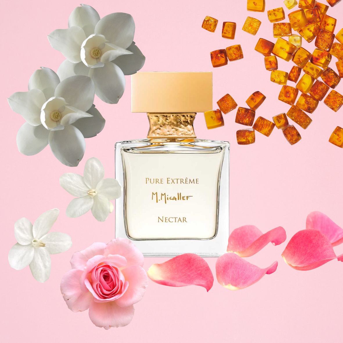 Micallef - Pure extreme nectar - Eau de parfum