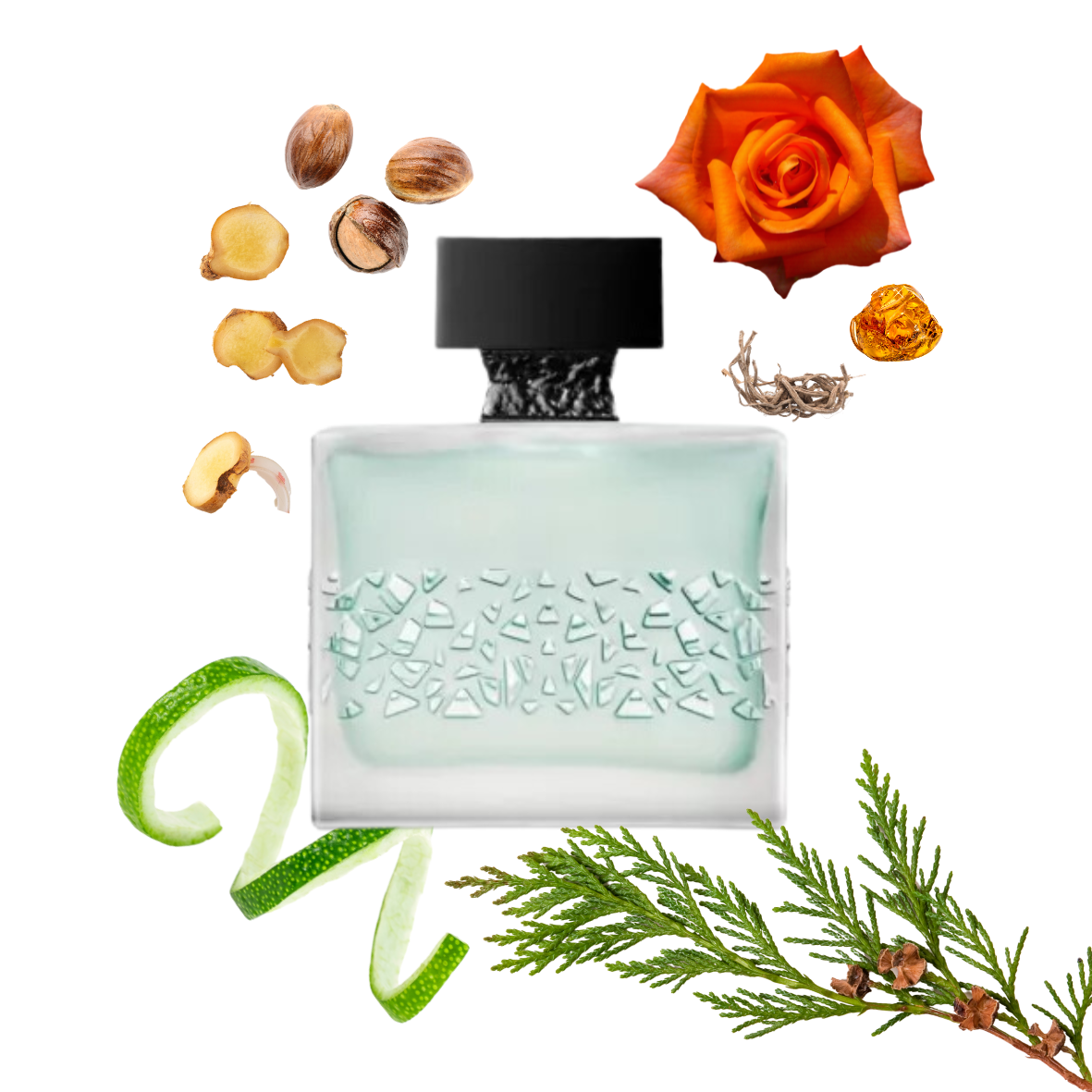 Micallef - Gn Tonic - Eau de parfum