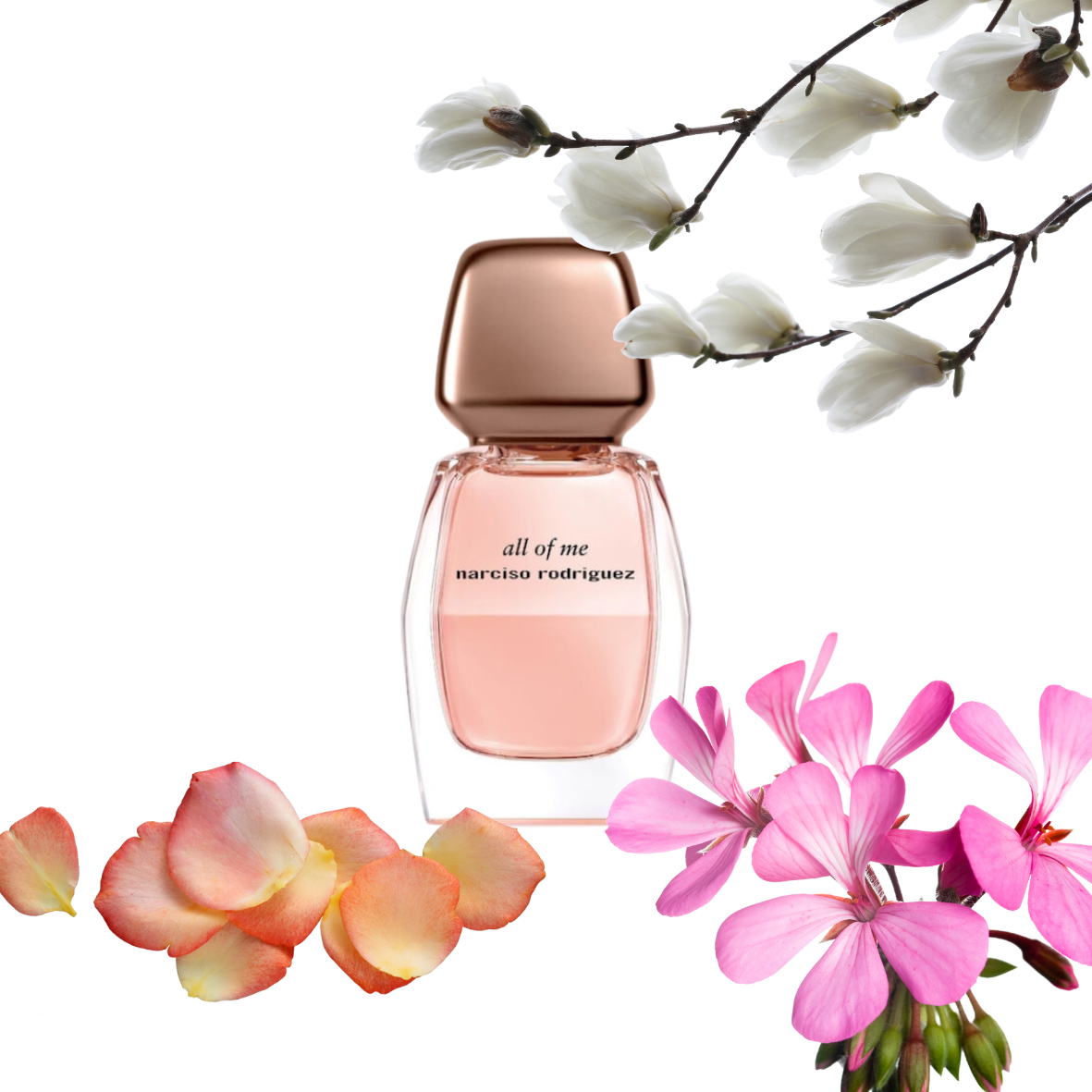 Narciso Rodriguez - All Of Me - Eau de parfum