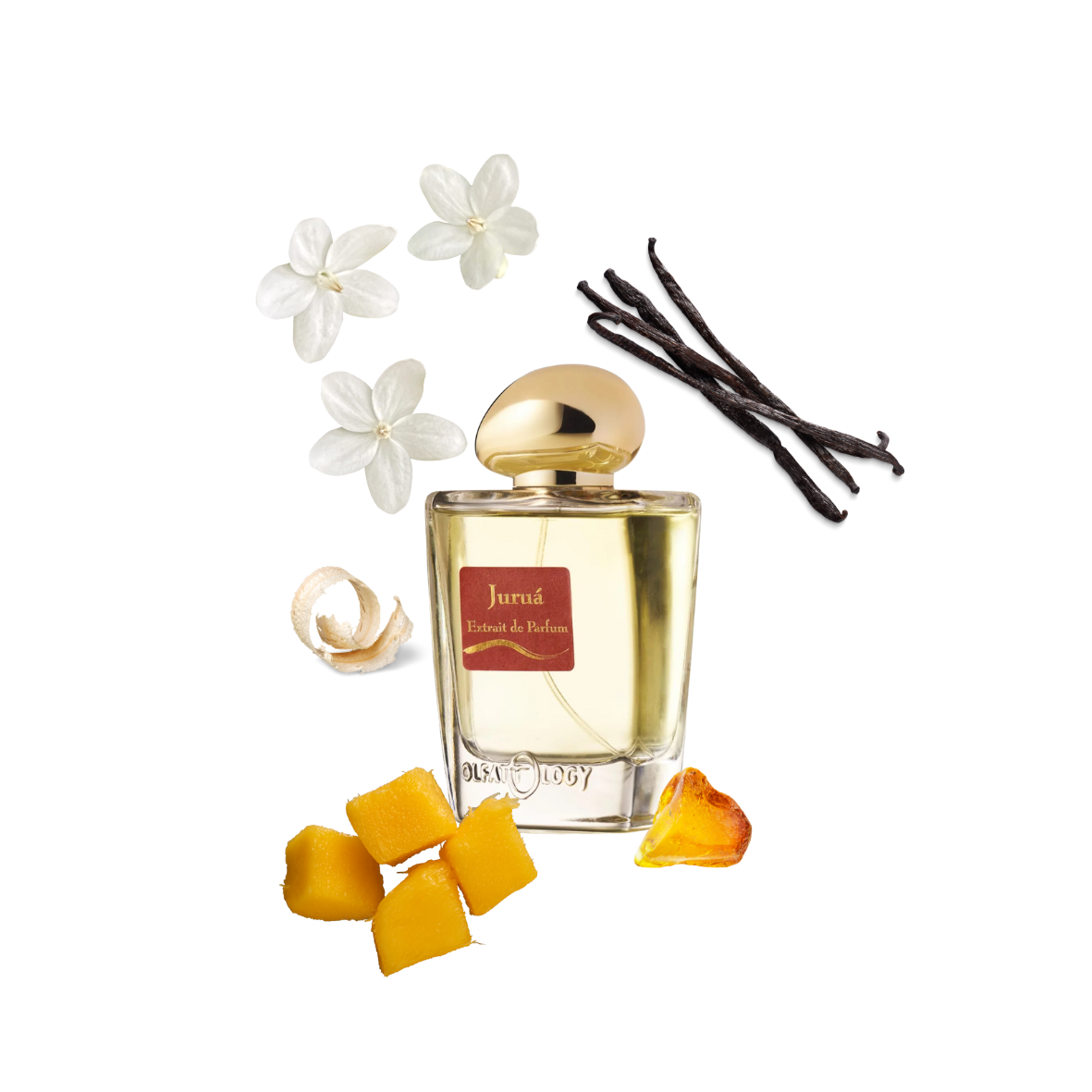 Olfattology - Juruá - Extrait de parfum