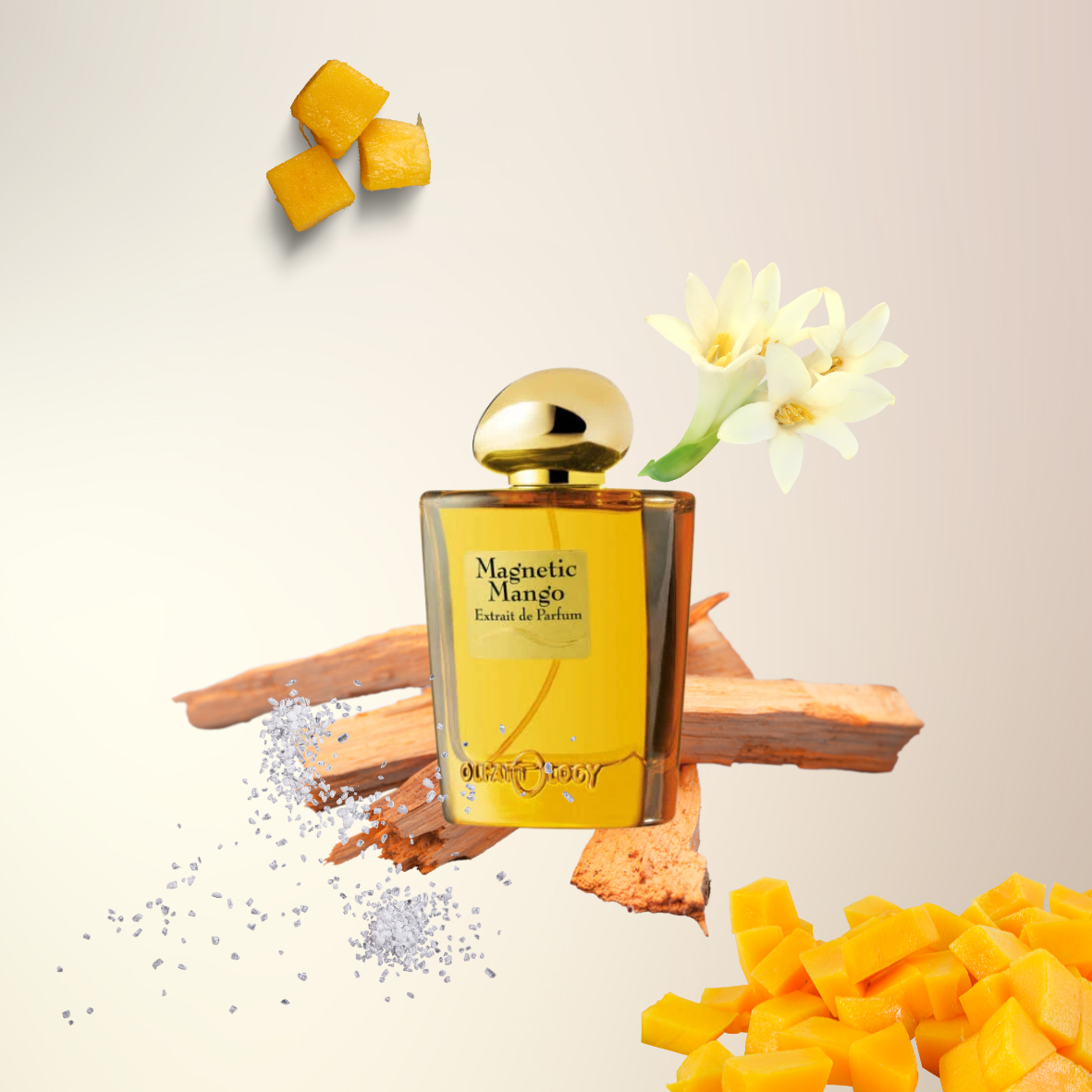 Olfattology - Magnetic mango - Extrait de parfum