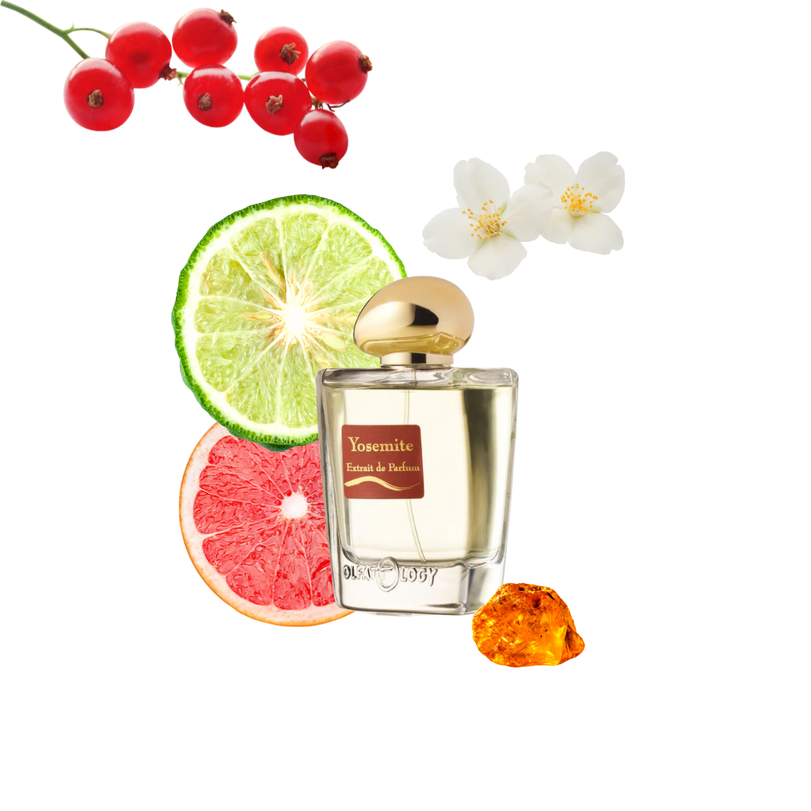 Olfattology - Yosemite falls - Extrait de parfum