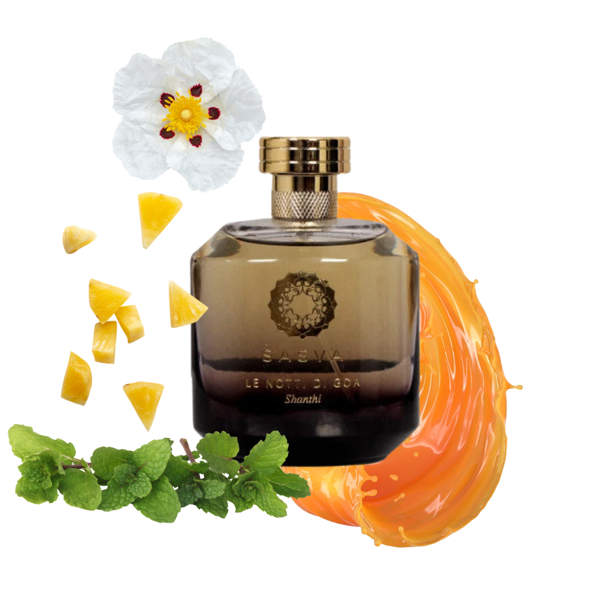 Sasva - Le Notti di Goa Shanthi - Eau de parfum
