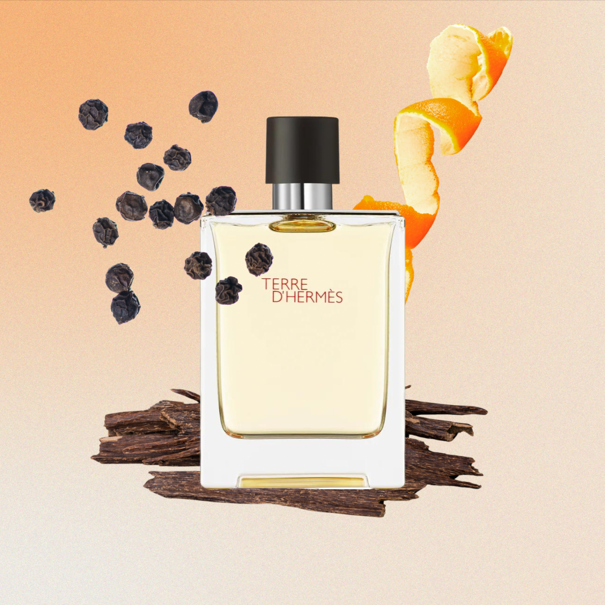 Terre d'Hermès - Eau de toilette