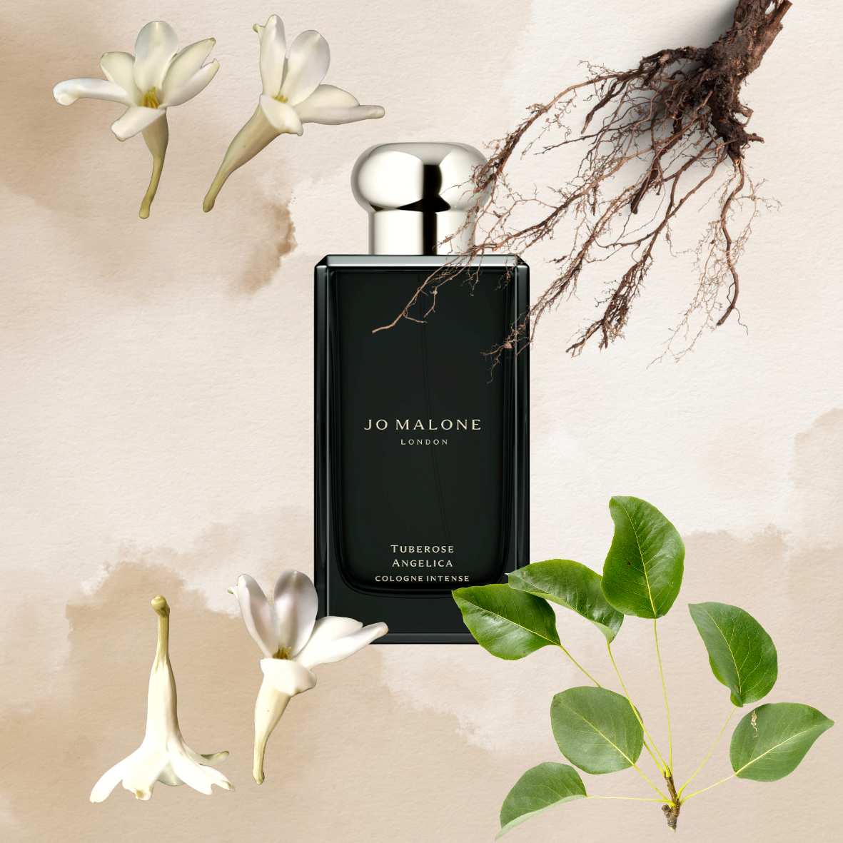 Jo Malone - London Tuberose Angelica - Eau de cologne