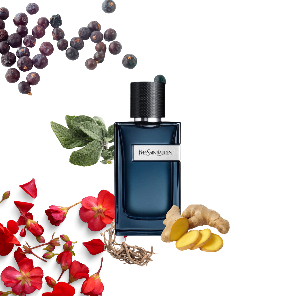 Yves Saint Laurent - Y Intense - Eau de parfum