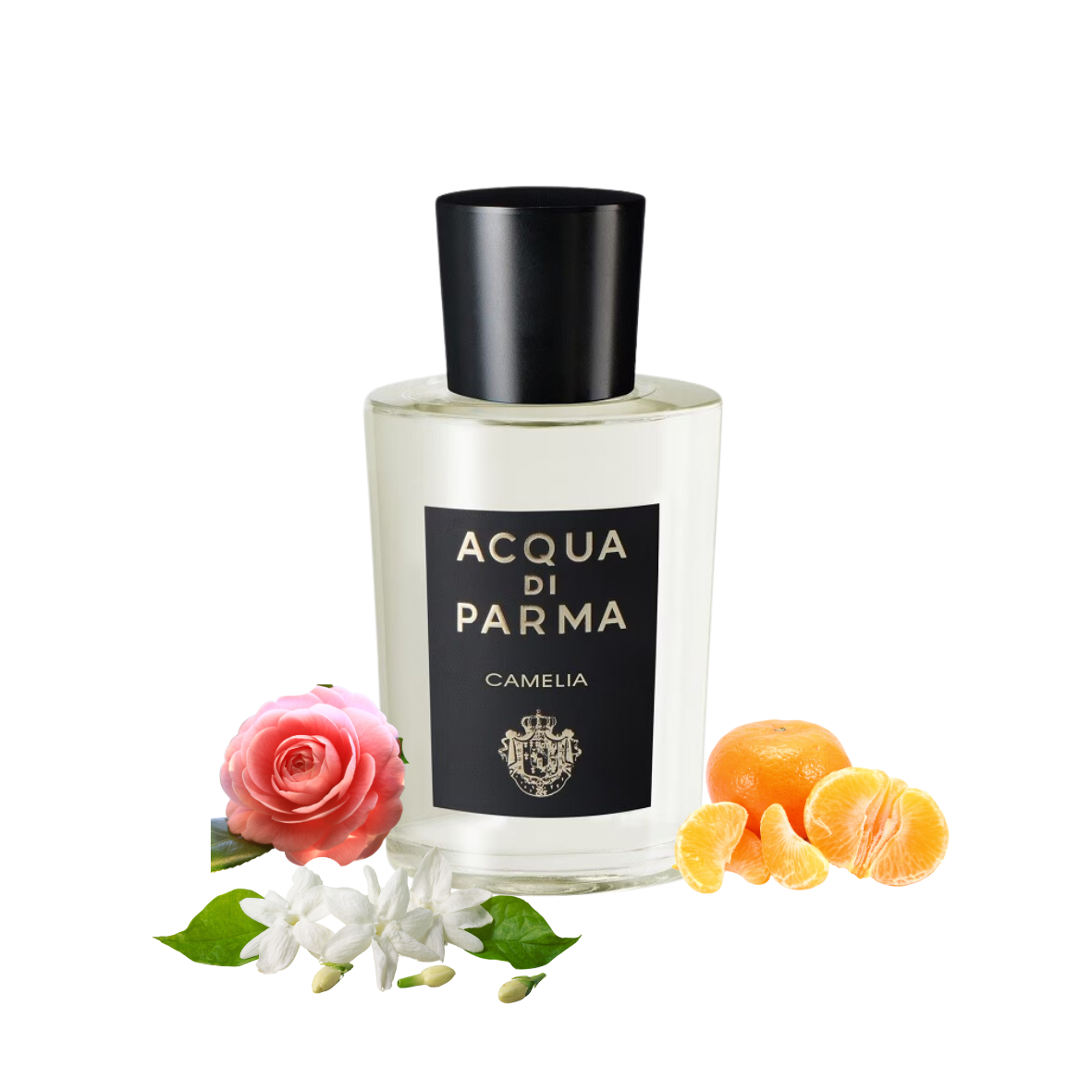 Acqua di Parma - Signatures of the Sun Camelia - Eau de parfum