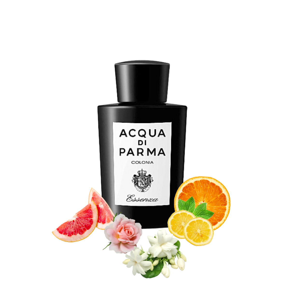 Acqua di Parma - Colonia Essenza - Eau de cologne
