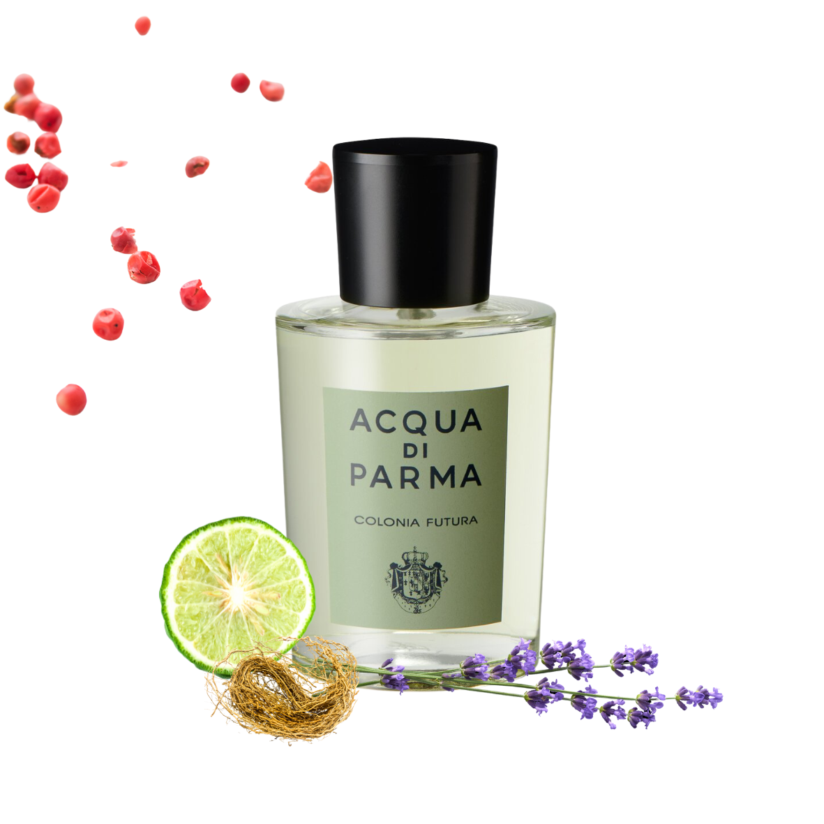 Acqua Di Parma - Colonia Futura - Eau de cologne