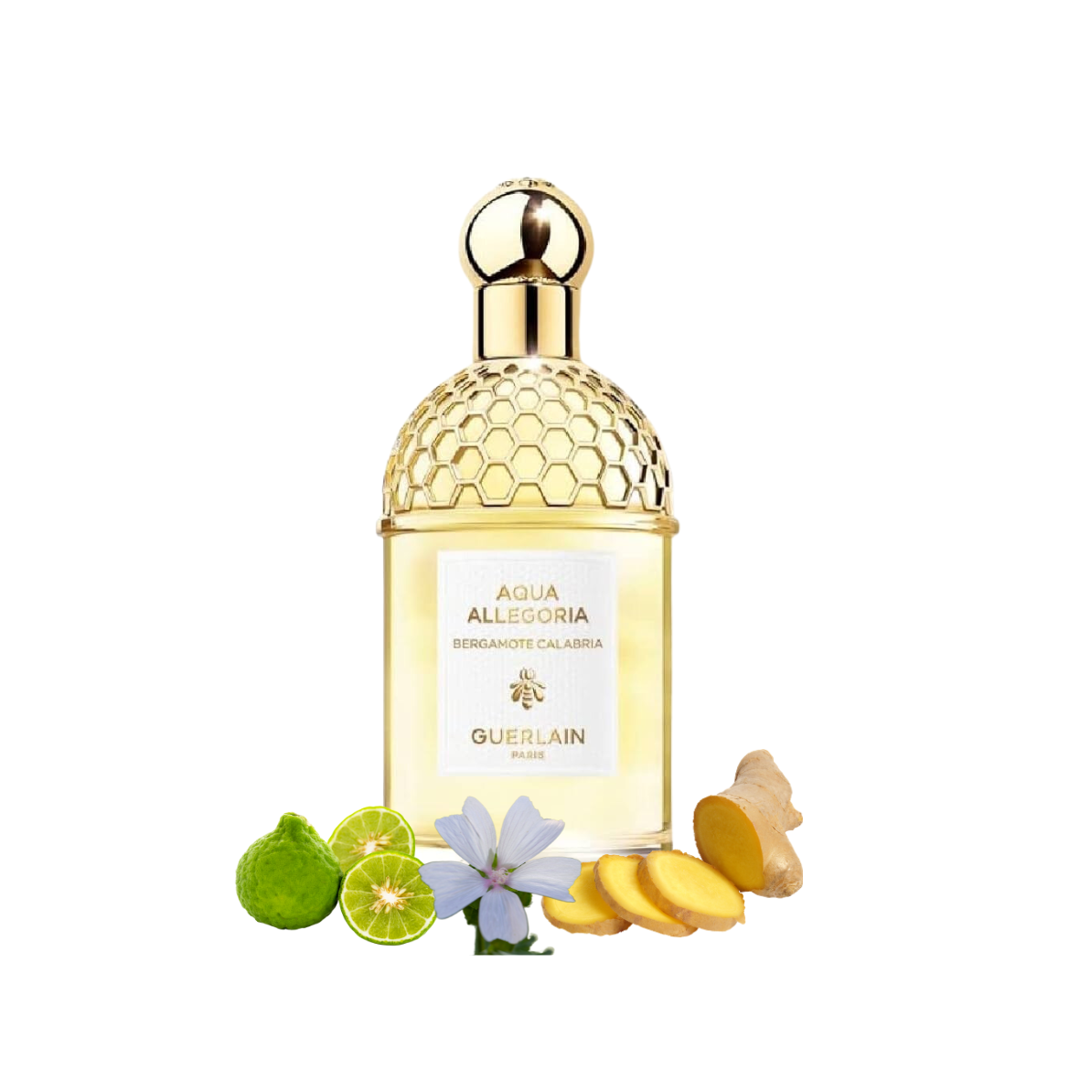 Guerlain - Aqua Allegoria Bergamote Calabria - Eau de toilette
