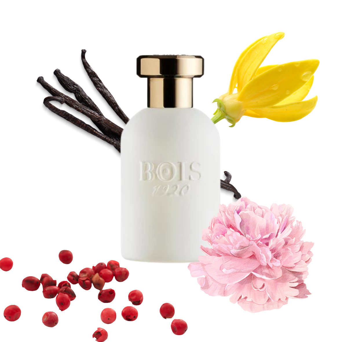 Bois 1920 - Oro Bianco - Eau de parfum