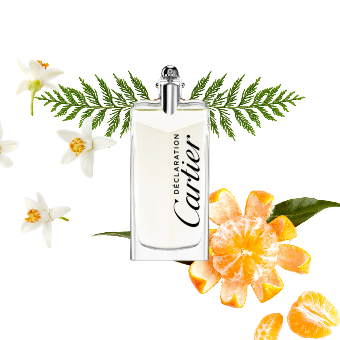 Cartier - Declaration - Eau de toilette