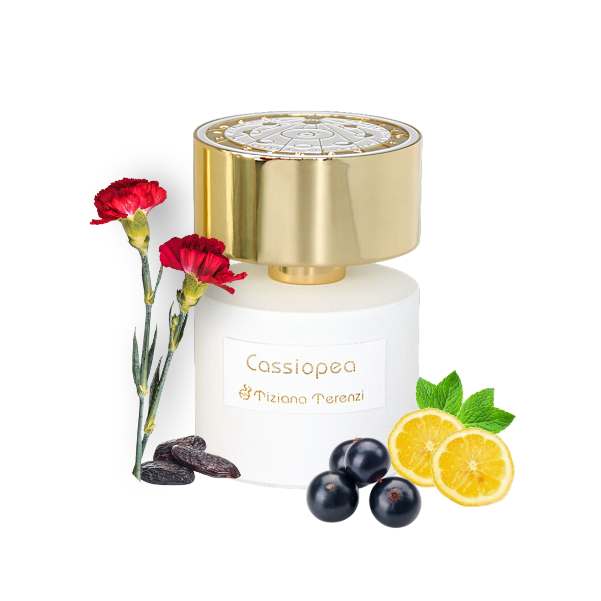 Tiziana Terenzi - Cassiopea - Extrait de parfum