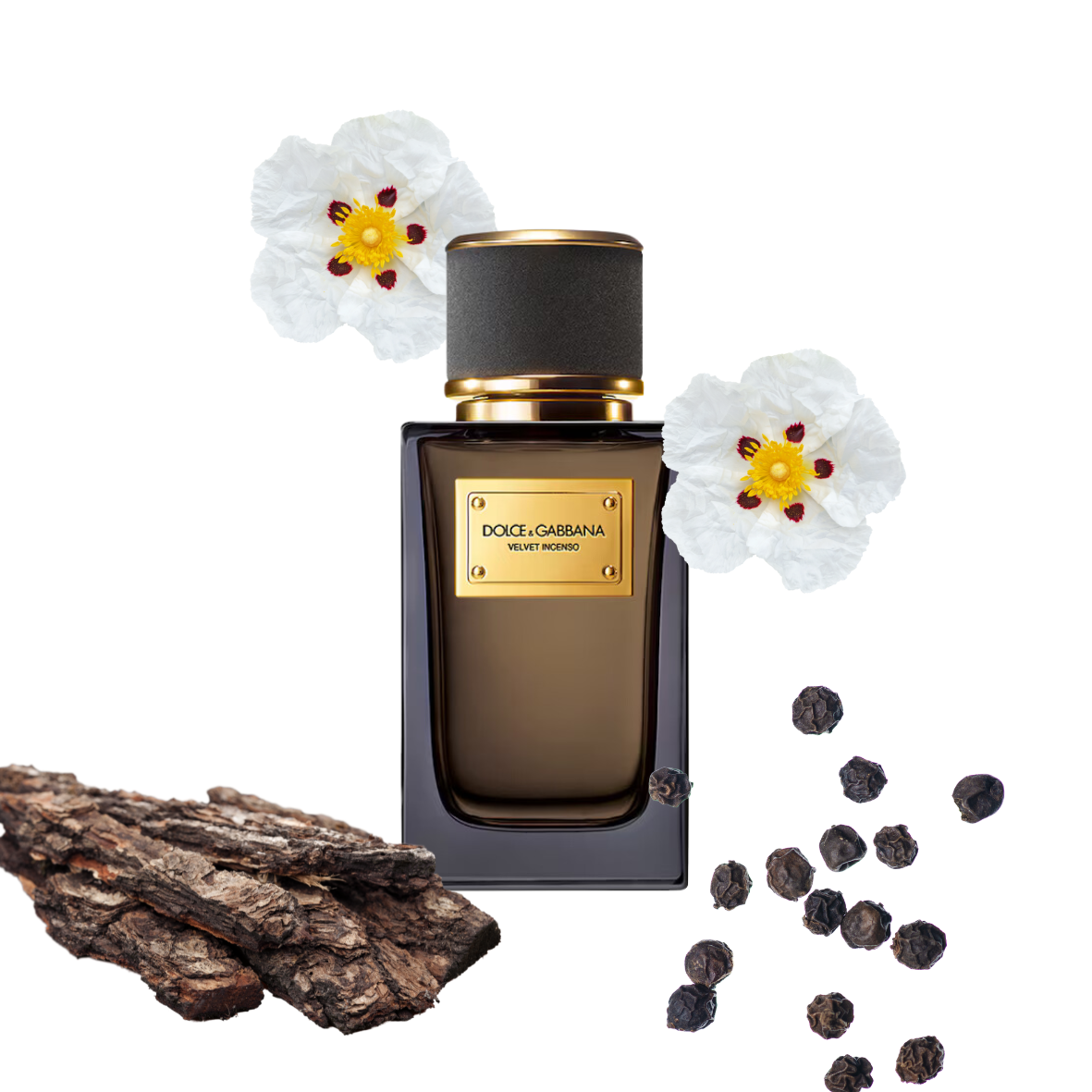 Dolce & Gabbana - Velvet Incense - Eau de parfum