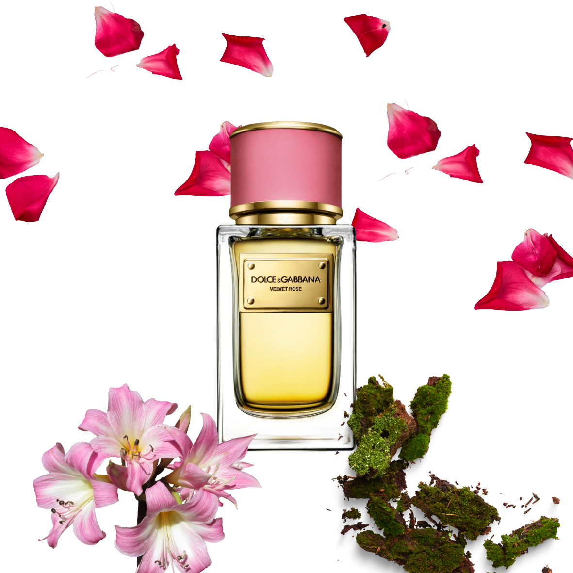 Dolce & Gabbana - Velvet Rose - Eau de parfum