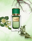 Dolce & Gabbana - Velvet Cypress - Eau de parfum