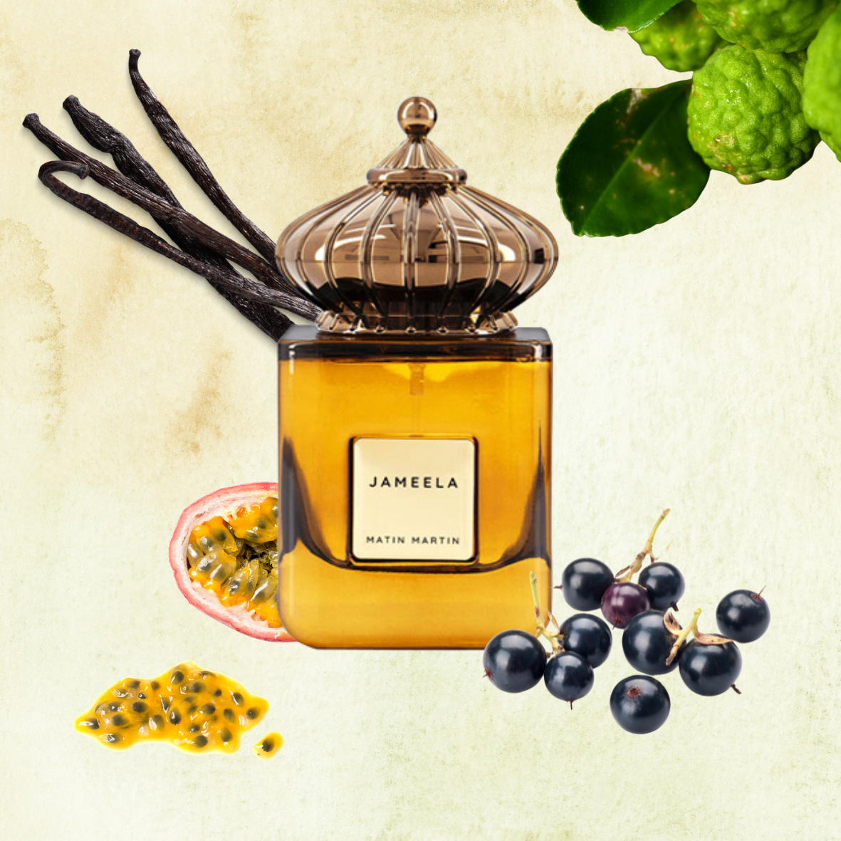 Matin Martin - Jameela - Eau de parfum