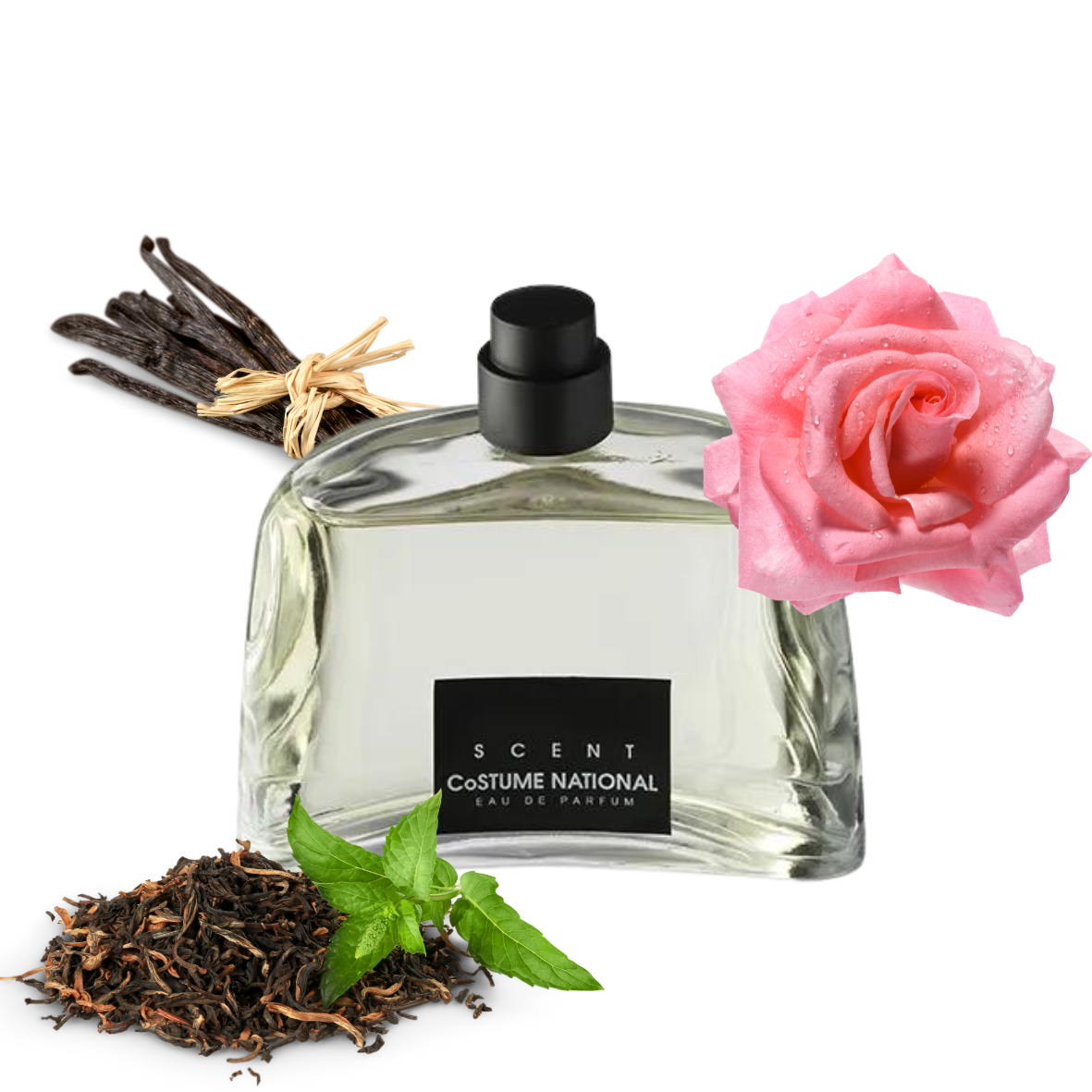 Costume National - Scent - Eau de parfum