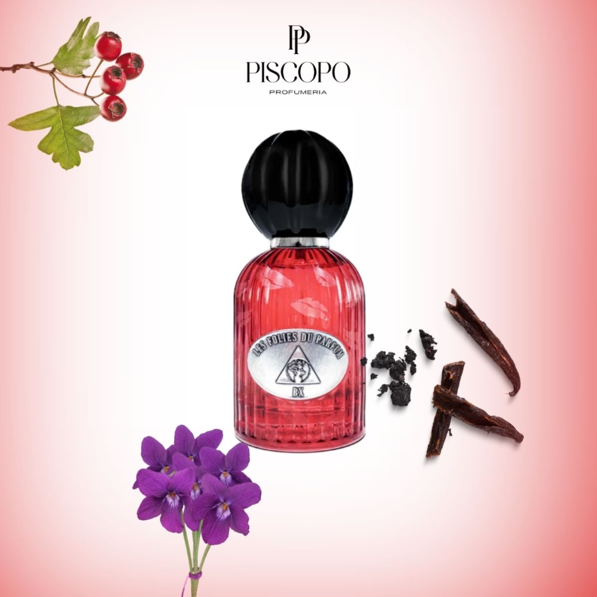 Les Folies Du Parfum - BX - Parfum